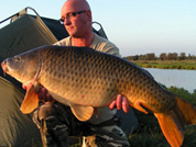 Scale carp